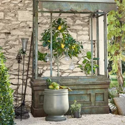 LOBERON Fleurs Séchées Et Artificielles*Arbre décoratif Darfield