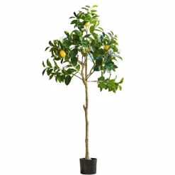 LOBERON Fleurs Séchées Et Artificielles*Arbre décoratif Darfield