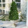LOBERON Fleurs Séchées Et Artificielles*Arbre décoratif Humbria