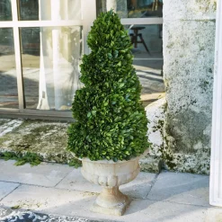 LOBERON Fleurs Séchées Et Artificielles*Arbre décoratif Humbria