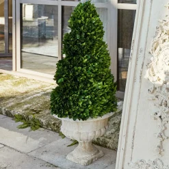 LOBERON Fleurs Séchées Et Artificielles*Arbre décoratif Humbria