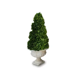 LOBERON Fleurs Séchées Et Artificielles*Arbre décoratif Humbria