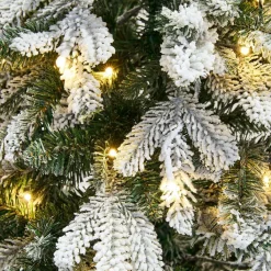 LOBERON Sapins Et Accessoires*Arbre de Noël Norila
