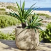 LOBERON Cache-Pots Et Amphores*Cache-pot Ela