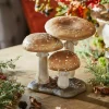 LOBERON Objets Décoratifs|Décoration*Champignons décoratifs Harvelle