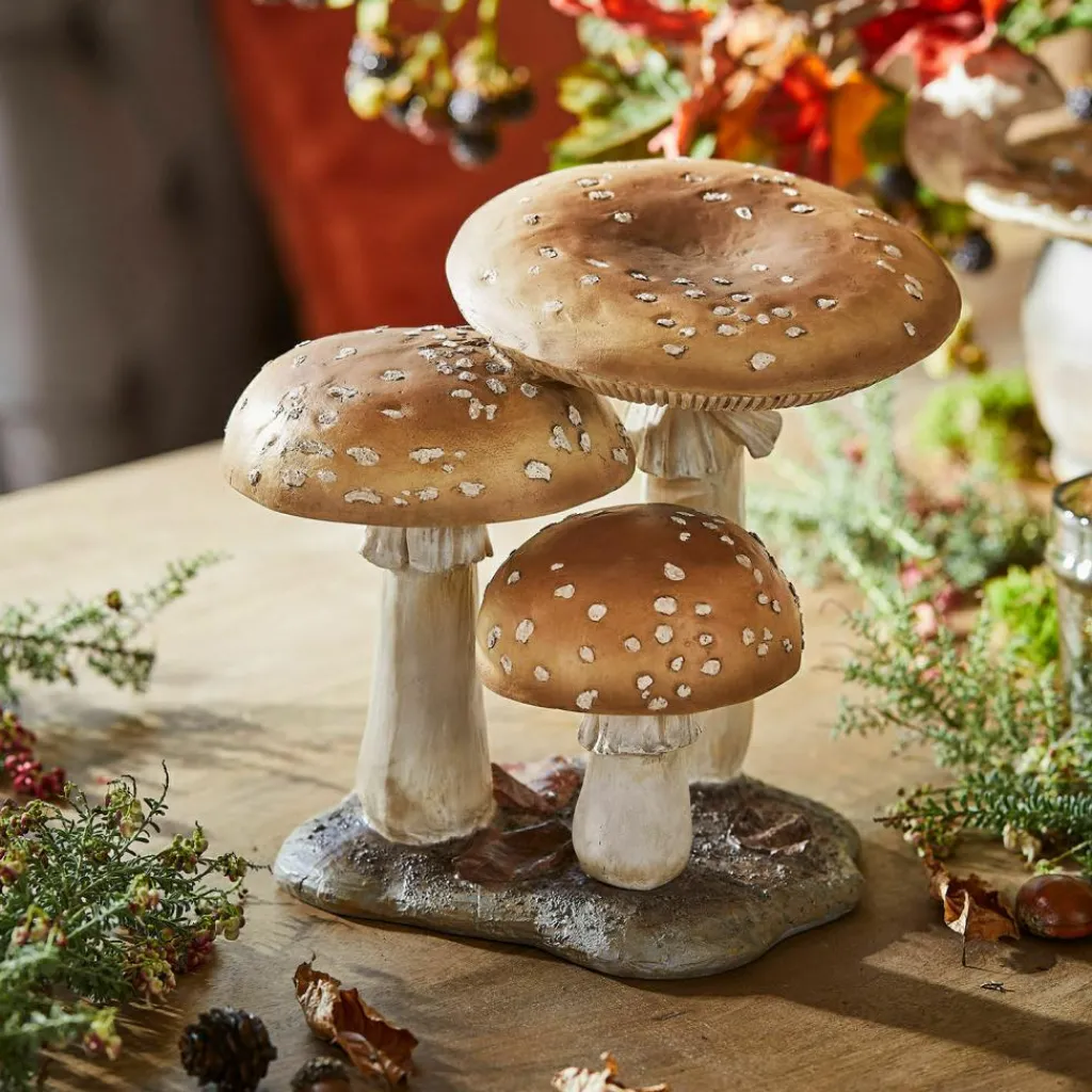 LOBERON Objets Décoratifs|Décoration*Champignons décoratifs Harvelle