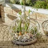 LOBERON Treillages*Cloche Ipas