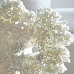 LOBERON Objets Décoratifs|Décoration*Corail décoratif Condière