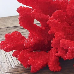 LOBERON Objets Décoratifs|Décoration*Corail décoratif Reddish
