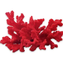 LOBERON Objets Décoratifs|Décoration*Corail décoratif Reddish