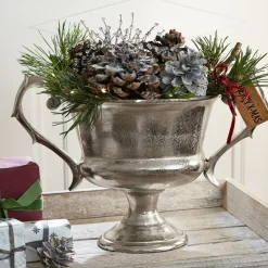 LOBERON Coupes|Coupes Et Pots*Coupe Espère