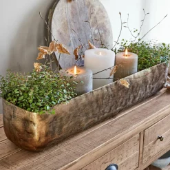 LOBERON Coupes|Coupes Et Pots*Coupe Skye