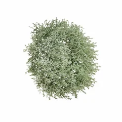 LOBERON Couronnes|Objets Décoratifs*Couronne Senailly
