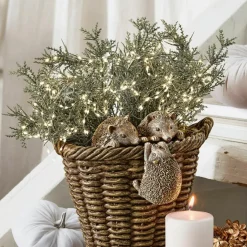LOBERON Guirlandes Lumineuses|Guirlandes Lumineuses*Guirlande lumineuse Regine
