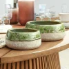 LOBERON Coupes|Coupes Et Pots*Lot de 2 coupes Reefton