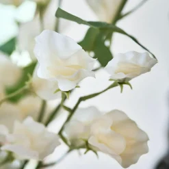 LOBERON Fleurs Séchées Et Artificielles|Décoration*Lot de 6 fleurs Clavigny