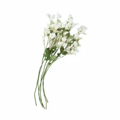 LOBERON Fleurs Séchées Et Artificielles|Décoration*Lot de 6 fleurs Clavigny