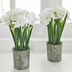 LOBERON Fleurs Séchées Et Artificielles|Décoration*Lot de 2 fleurs décoratives Soralen