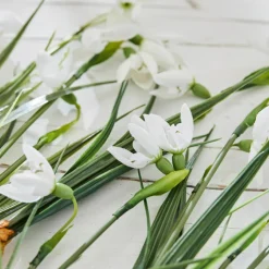 LOBERON Fleurs Séchées Et Artificielles|Décoration*Lot de 12 fleurs décoratives Willmare