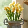 LOBERON Fleurs Séchées Et Artificielles|Décoration*Lot de 12 fleurs décoratives Ilvera