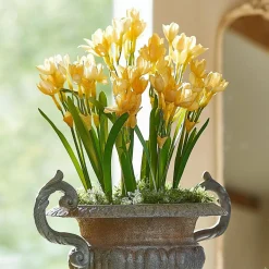 LOBERON Fleurs Séchées Et Artificielles|Décoration*Lot de 12 fleurs décoratives Ilvera