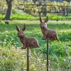 LOBERON Outils De Jardin*Lot de 2 piques de jardin Dariyah