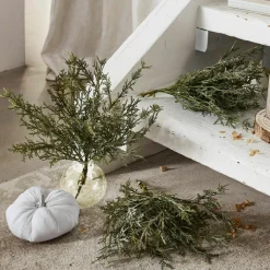 LOBERON Emballages Cadeaux|Fleurs Séchées Et Artificielles*Lot de 3 plantes décoratives Emmet
