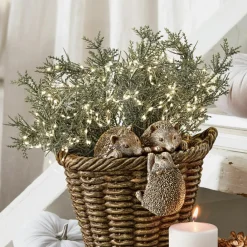 LOBERON Emballages Cadeaux|Fleurs Séchées Et Artificielles*Lot de 3 plantes décoratives Emmet