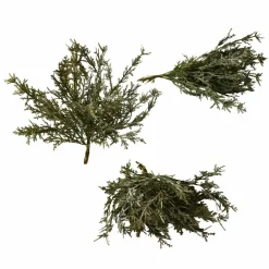 LOBERON Emballages Cadeaux|Fleurs Séchées Et Artificielles*Lot de 3 plantes décoratives Emmet