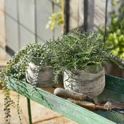 LOBERON Cache-Pots Et Amphores*Lot de 2 pots de fleurs Malivon