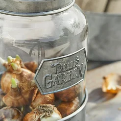 LOBERON Boîtes Et Cloches En Verre|Boîtes Et Cloches En Verre*Lot de 3 pots Jaubert
