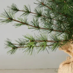 LOBERON Objets Décoratifs De Noël*Lot de 2 sapins décoratifs Bohicon