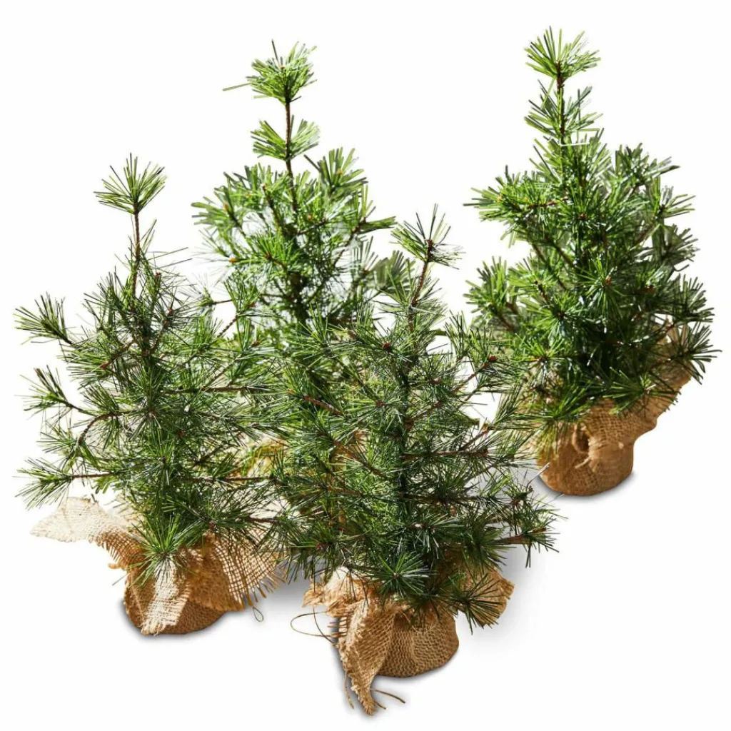 LOBERON Objets Décoratifs De Noël*Lot de 4 sapins décoratifs Millies