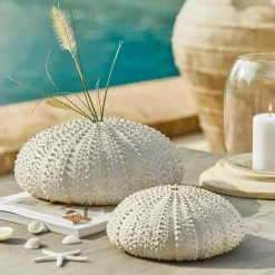 LOBERON Décorations De Jardin*Lot de deux oursins décoratifs Kimbar