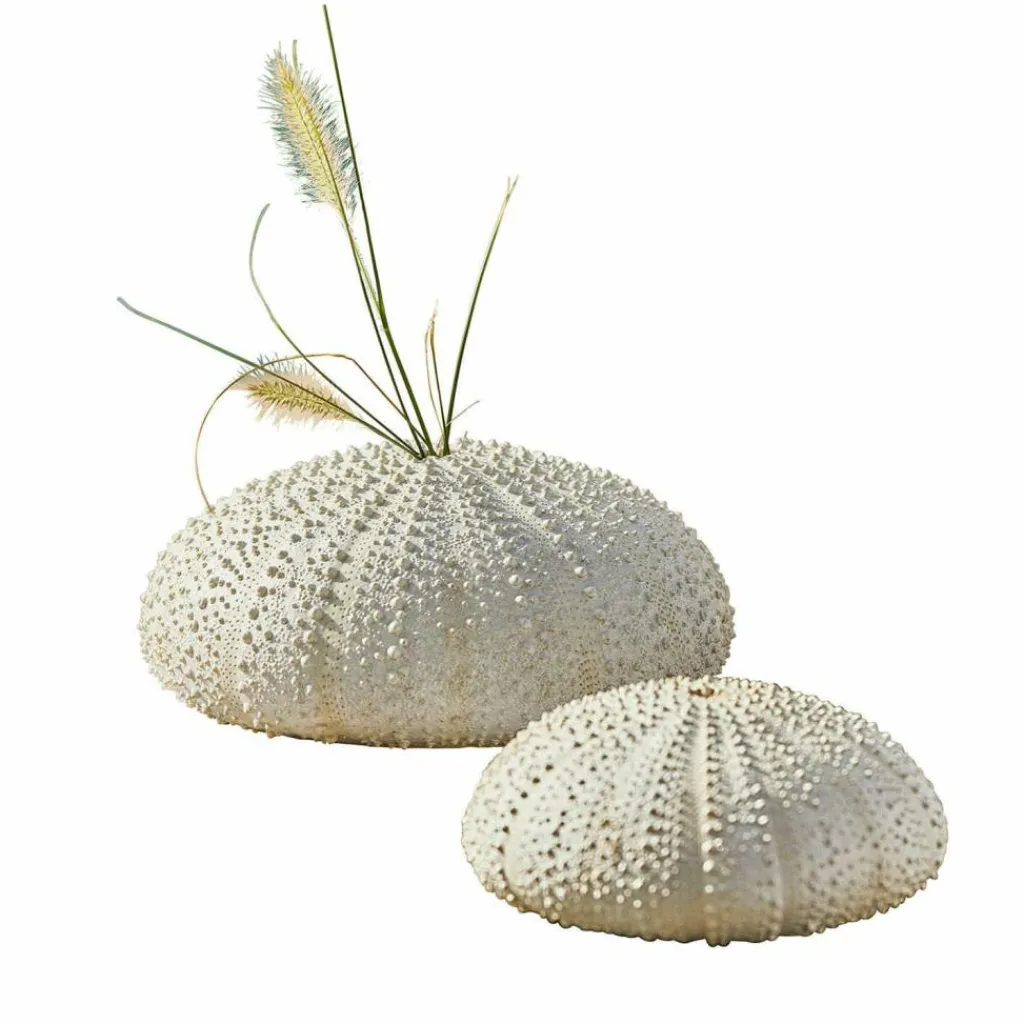 LOBERON Décorations De Jardin*Lot de deux oursins décoratifs Kimbar