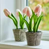 LOBERON Fleurs Séchées Et Artificielles|Décoration*Lot de deux pots de tulipes décoratives Zéphine