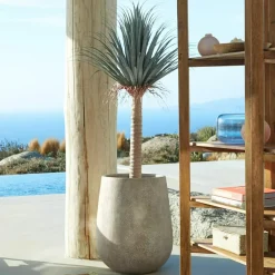 LOBERON Fleurs Séchées Et Artificielles|Décoration*Palmier décoratif Remivon