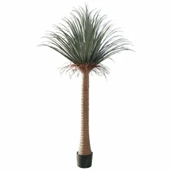 LOBERON Fleurs Séchées Et Artificielles|Décoration*Palmier décoratif Remivon