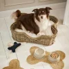 LOBERON Meubles Et Couchages|Couchages Pour Animaux*Panier pour animaux Ninloo