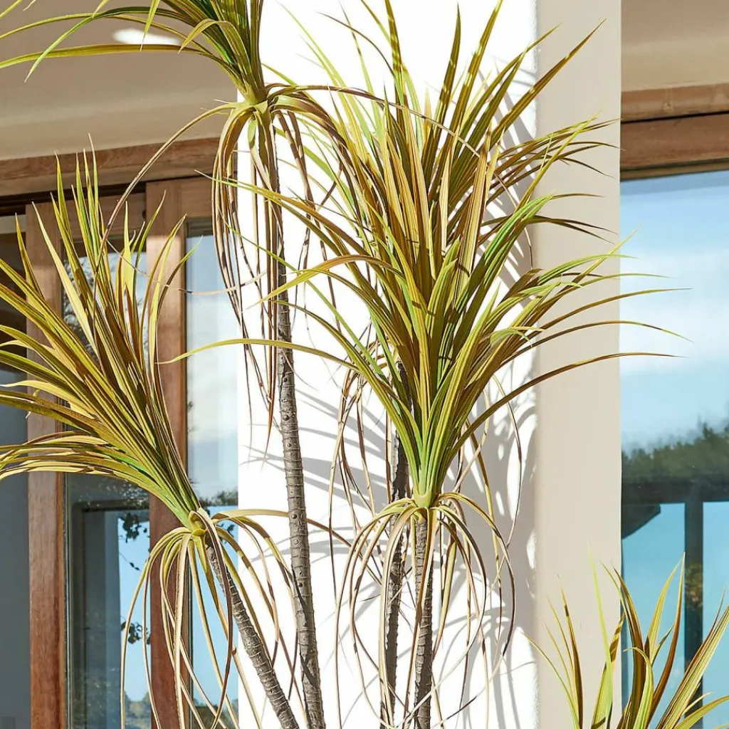 LOBERON Fleurs Séchées Et Artificielles|Décoration*Plante décorative en pot Ancerac