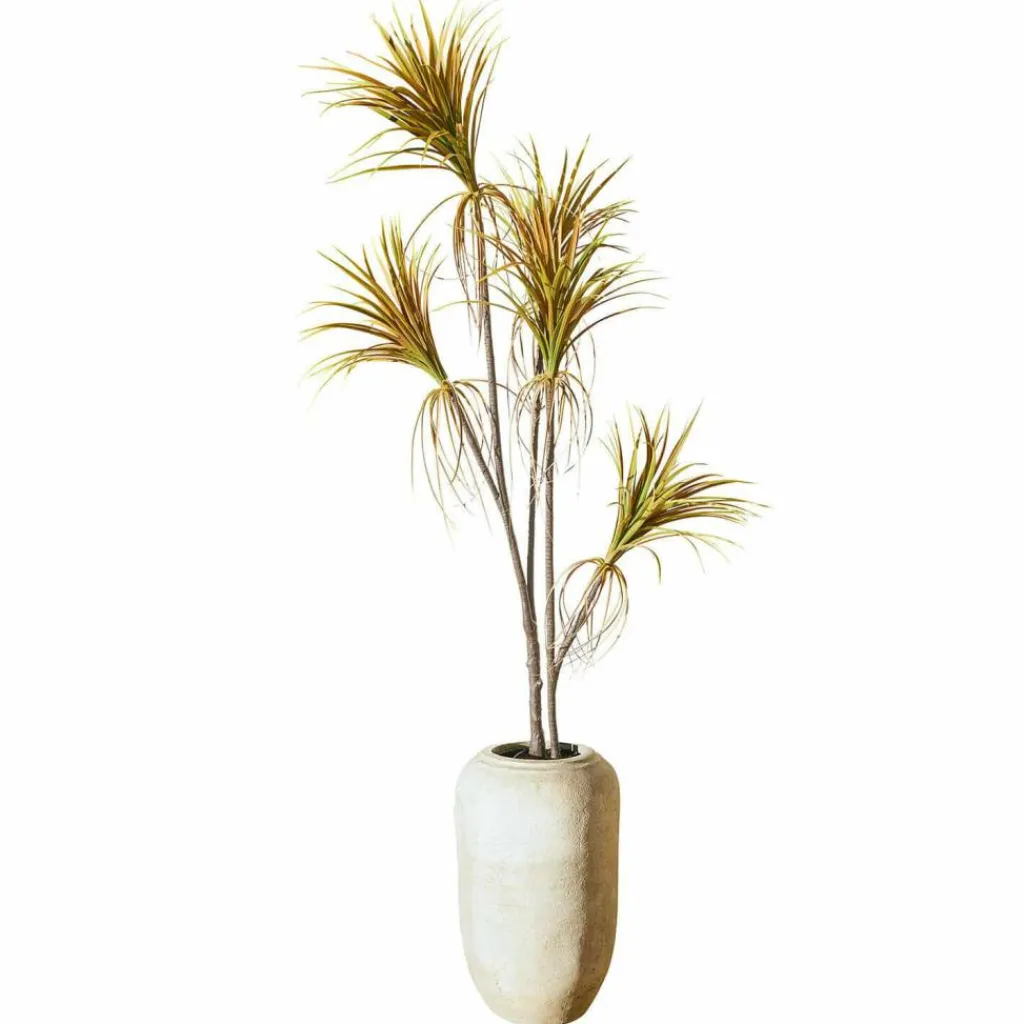 LOBERON Fleurs Séchées Et Artificielles|Décoration*Plante décorative en pot Ancerac