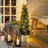 LOBERON Décorations De Jardin*Plante décorative en pot Arras