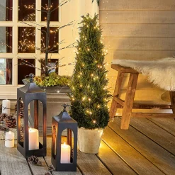 LOBERON Décorations De Jardin*Plante décorative en pot Arras