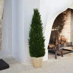 LOBERON Décorations De Jardin*Plante décorative en pot Arras