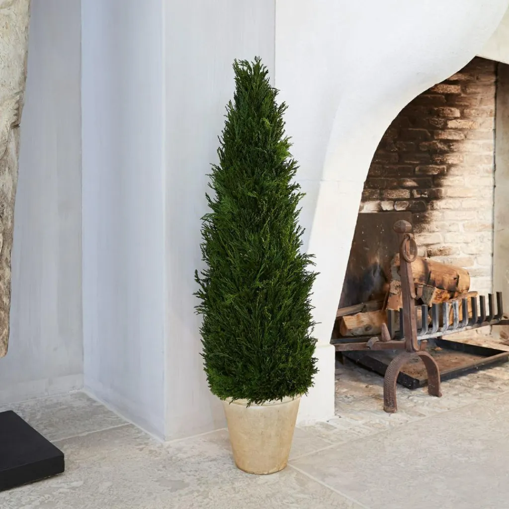 LOBERON Décorations De Jardin*Plante décorative en pot Arras