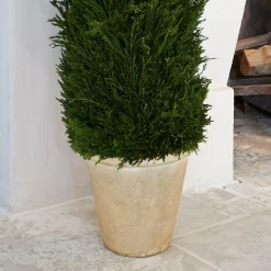 LOBERON Décorations De Jardin*Plante décorative en pot Arras