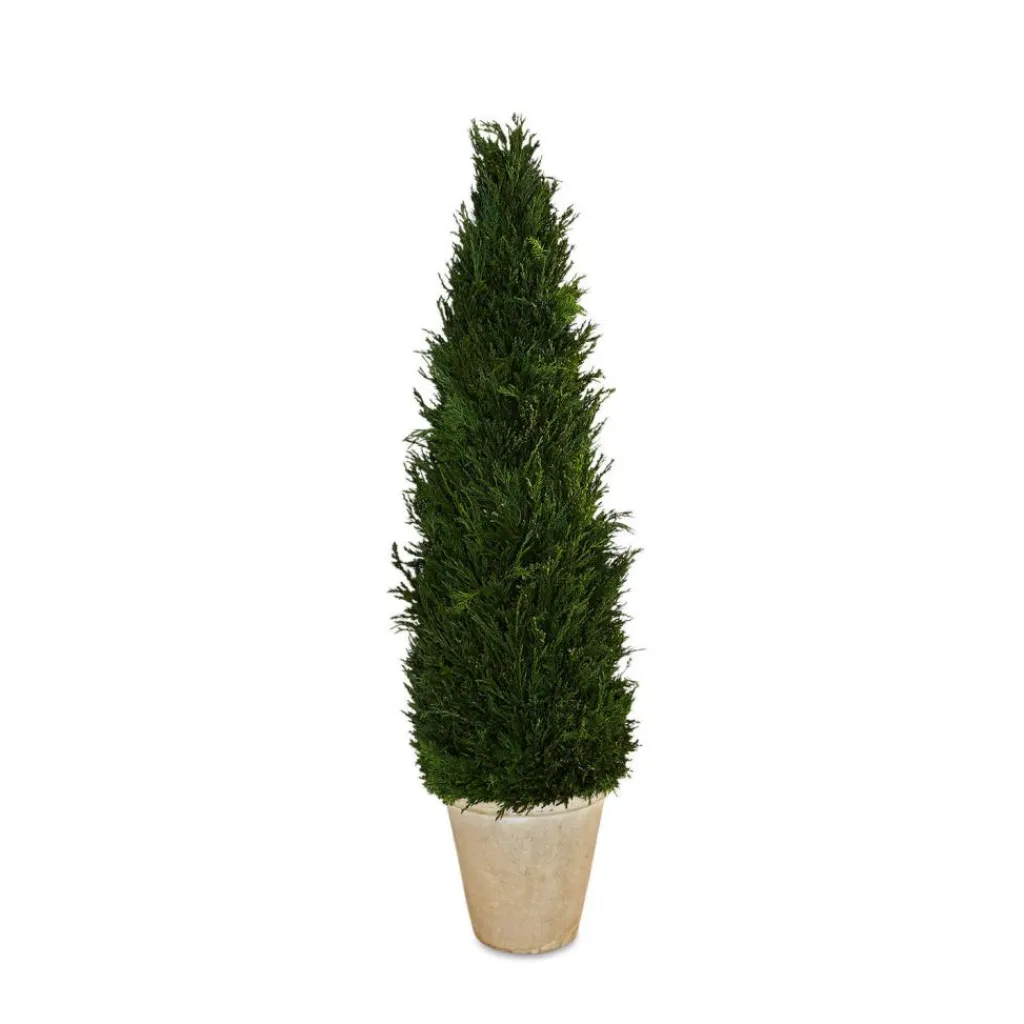 LOBERON Décorations De Jardin*Plante décorative en pot Arras