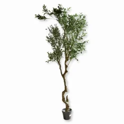 LOBERON Fleurs Séchées Et Artificielles*Plante décorative en pot Dambly