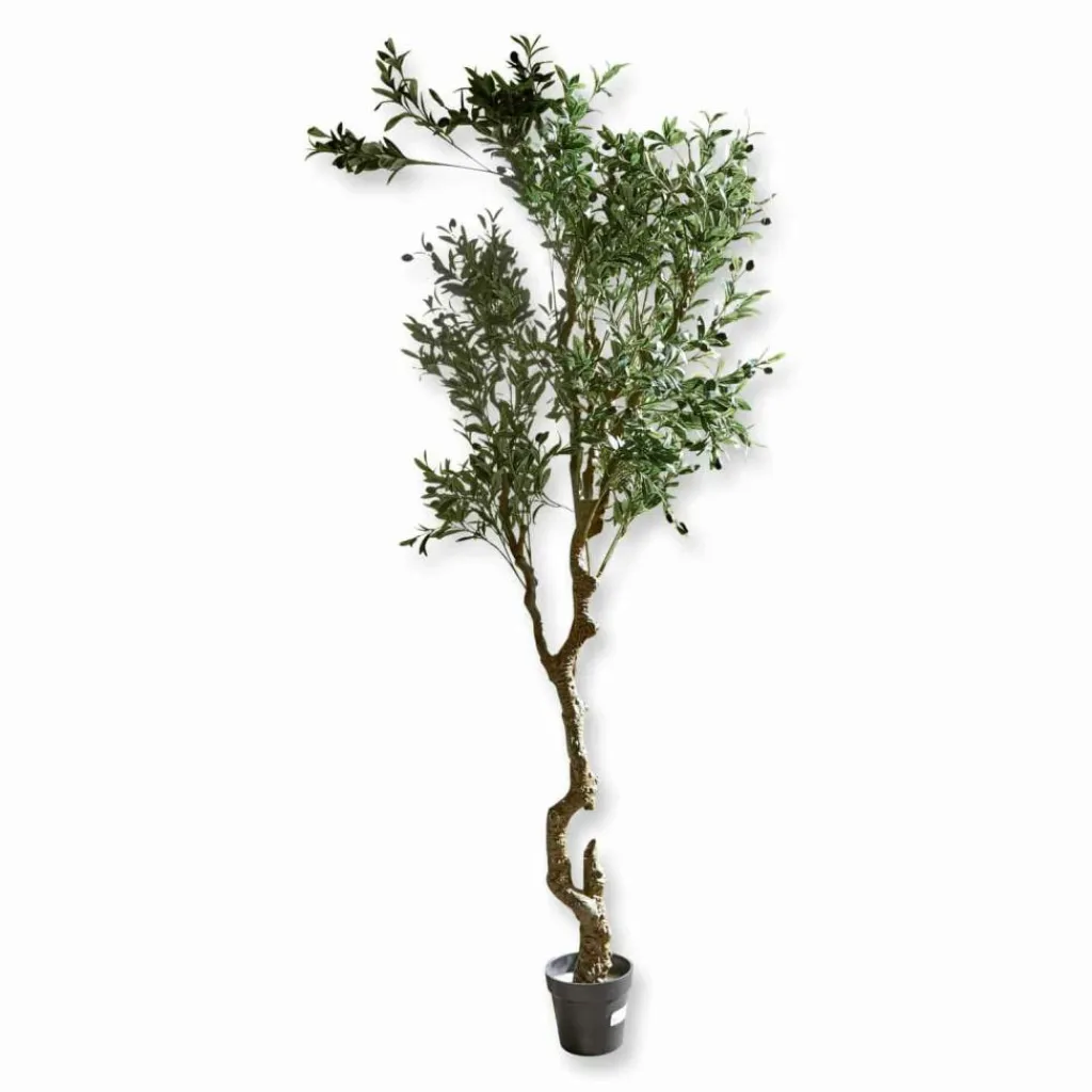 LOBERON Fleurs Séchées Et Artificielles*Plante décorative en pot Dambly
