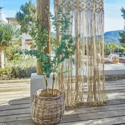 LOBERON Fleurs Séchées Et Artificielles|Décoration*Plante décorative en pot Dorevi